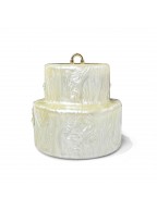 Women's Mini Acrylic Cake Clutch